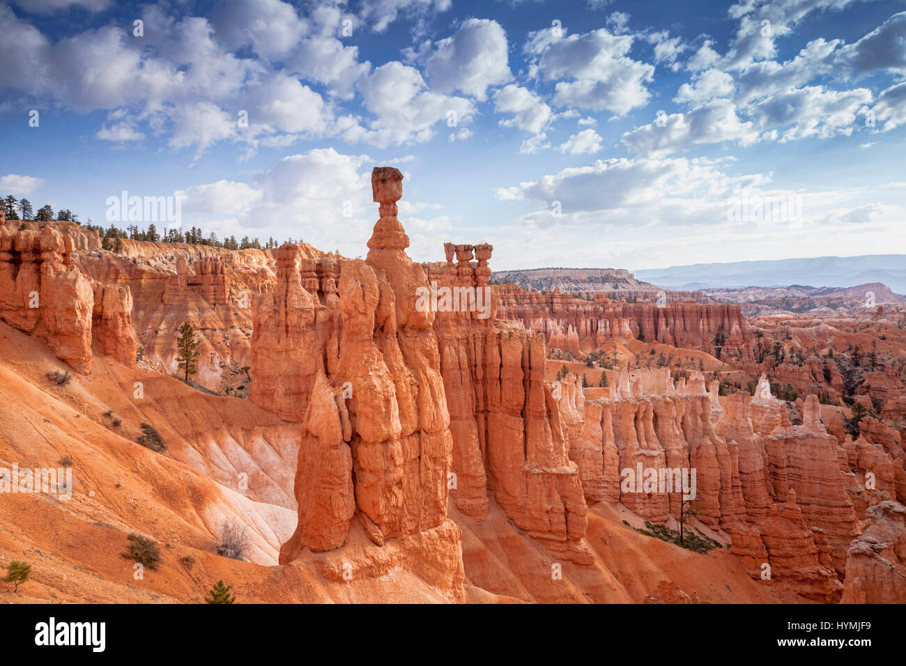 Thor's Hammer, le plus célèbre des milliers d'oodoos dans le parc national de Bryce Canyon, Utah. Banque D'Images