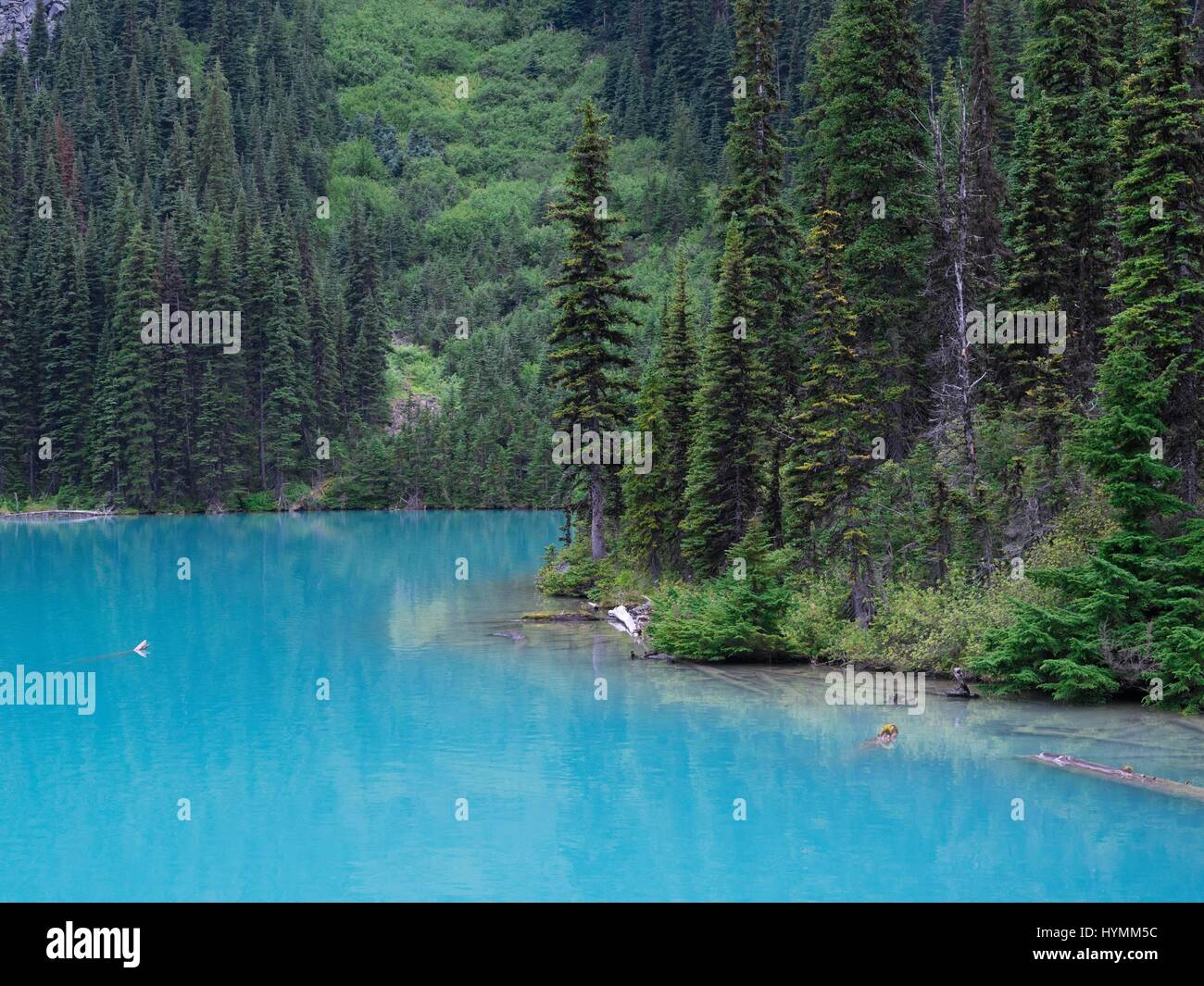 L'eau turquoise au milieu du lac, lac glacier Joffre, Pemberton, Colombie-Britannique, Canada Banque D'Images