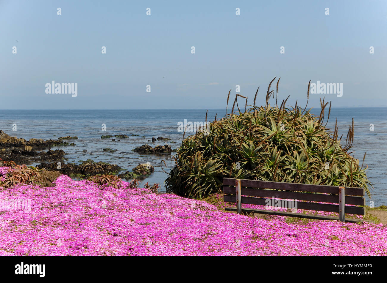 Côte de Monterey Banque D'Images