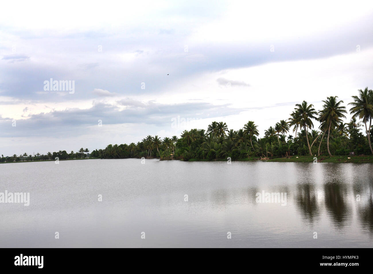 Kerala réflexion de cococotier dans les eaux intérieures. Ingrédients qui attirent les touristes de partout dans le monde. (Photo Copyright © Saji Maramon) Banque D'Images