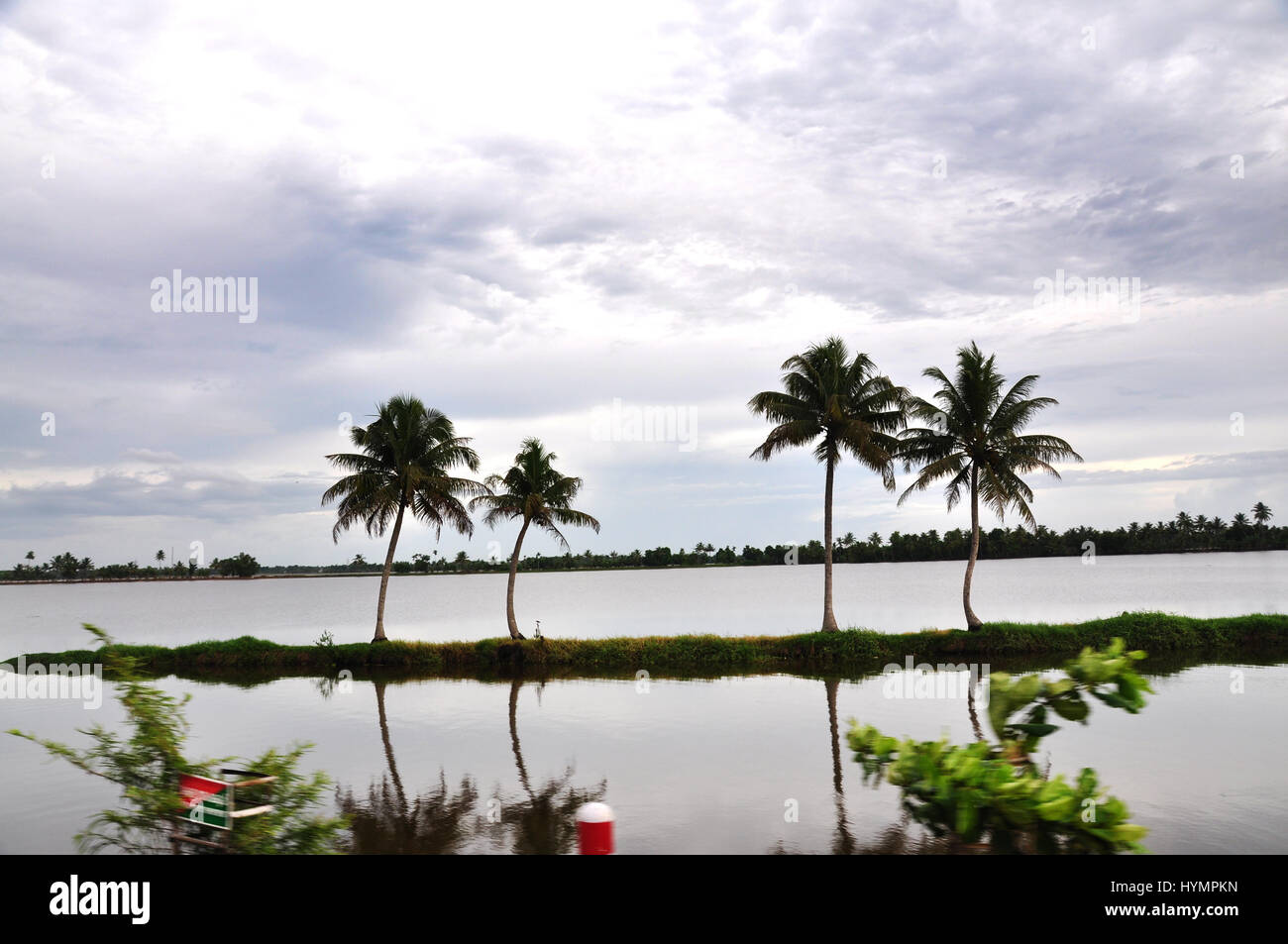 Kerala réflexion de cococotier dans les eaux intérieures. Ingrédients qui attirent les touristes de partout dans le monde. (Photo Copyright © Saji Maramon) Banque D'Images
