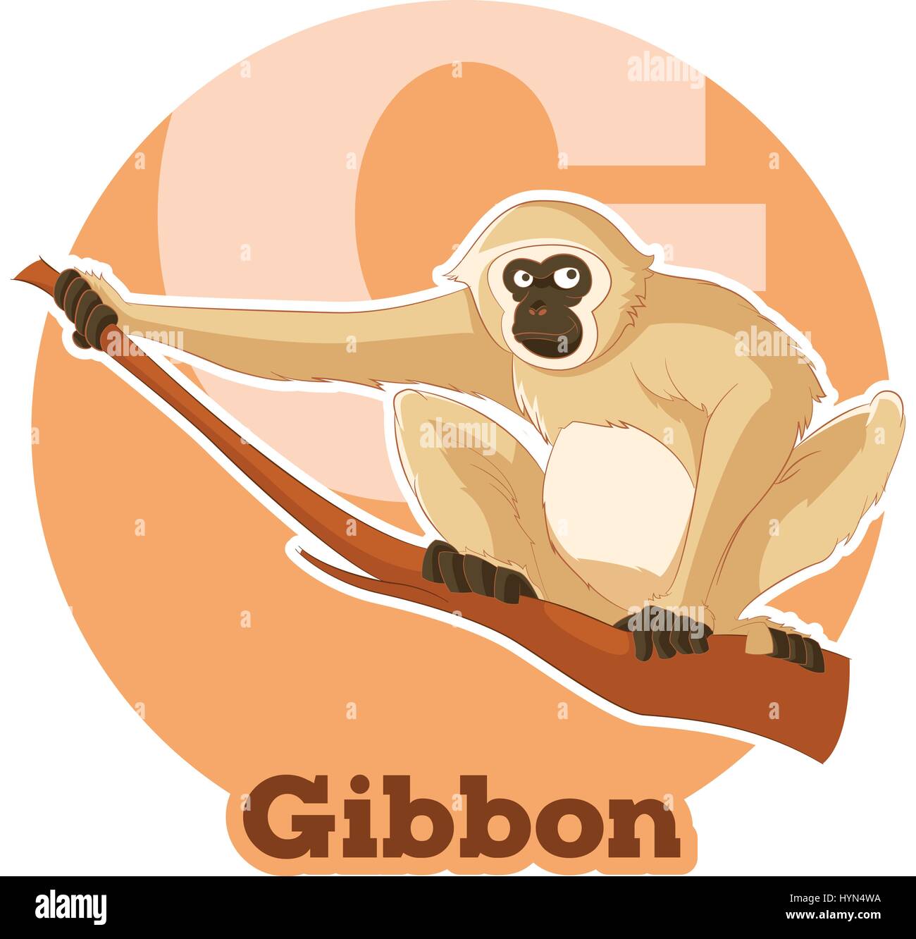 ABC Cartoon Gibbon Illustration de Vecteur