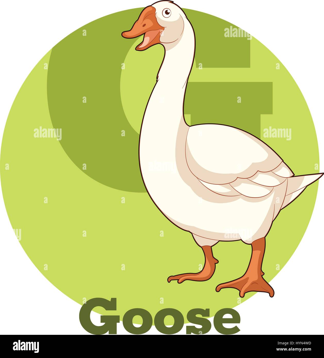 ABC Cartoon Goose Illustration de Vecteur