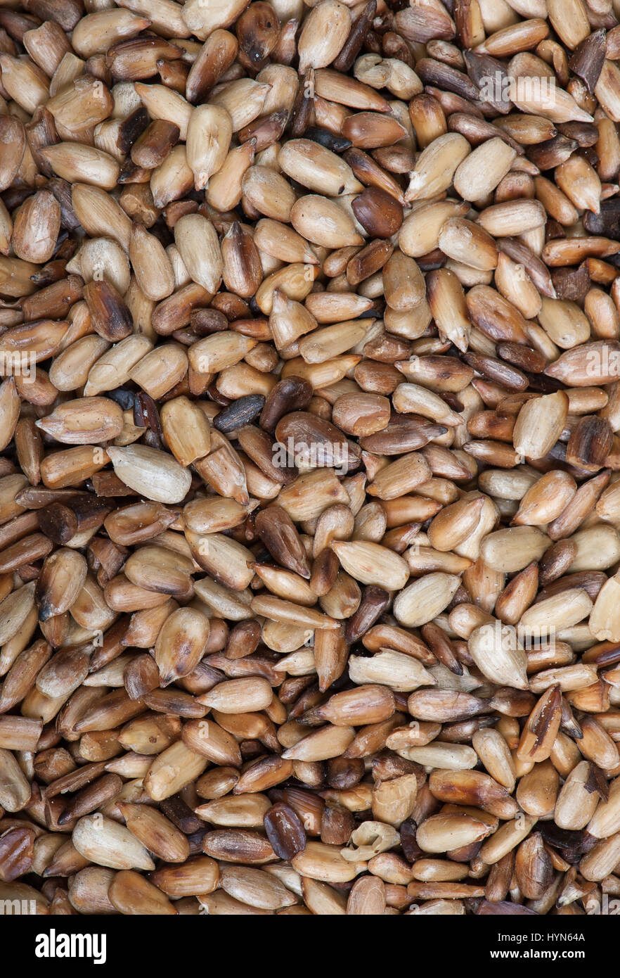 Graines de tournesol décortiquées cuites background Banque D'Images