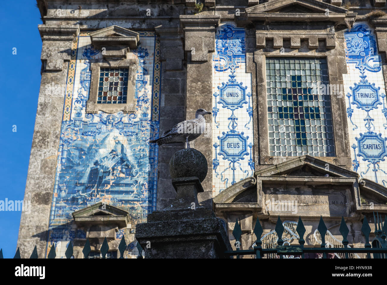 Seagull sur une clôture de l'église de Saint Ildefonse de Tolède à Santo Ildefonso paroisse civile de la ville de Porto, deuxième ville du Portugal Banque D'Images