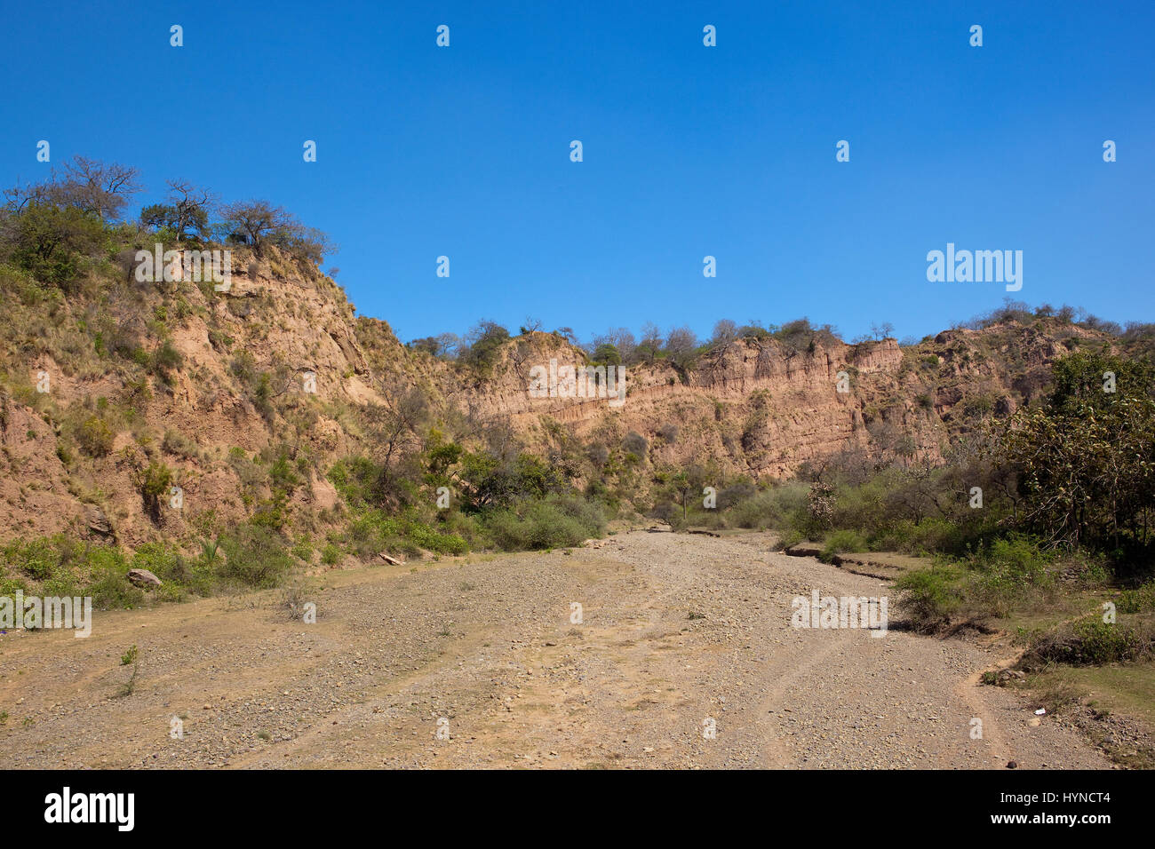 Un lit de rivière à sec avec des falaises de sable orange dans la réserve naturelle de morni Hills près de chandigarh inde sous un ciel bleu Banque D'Images