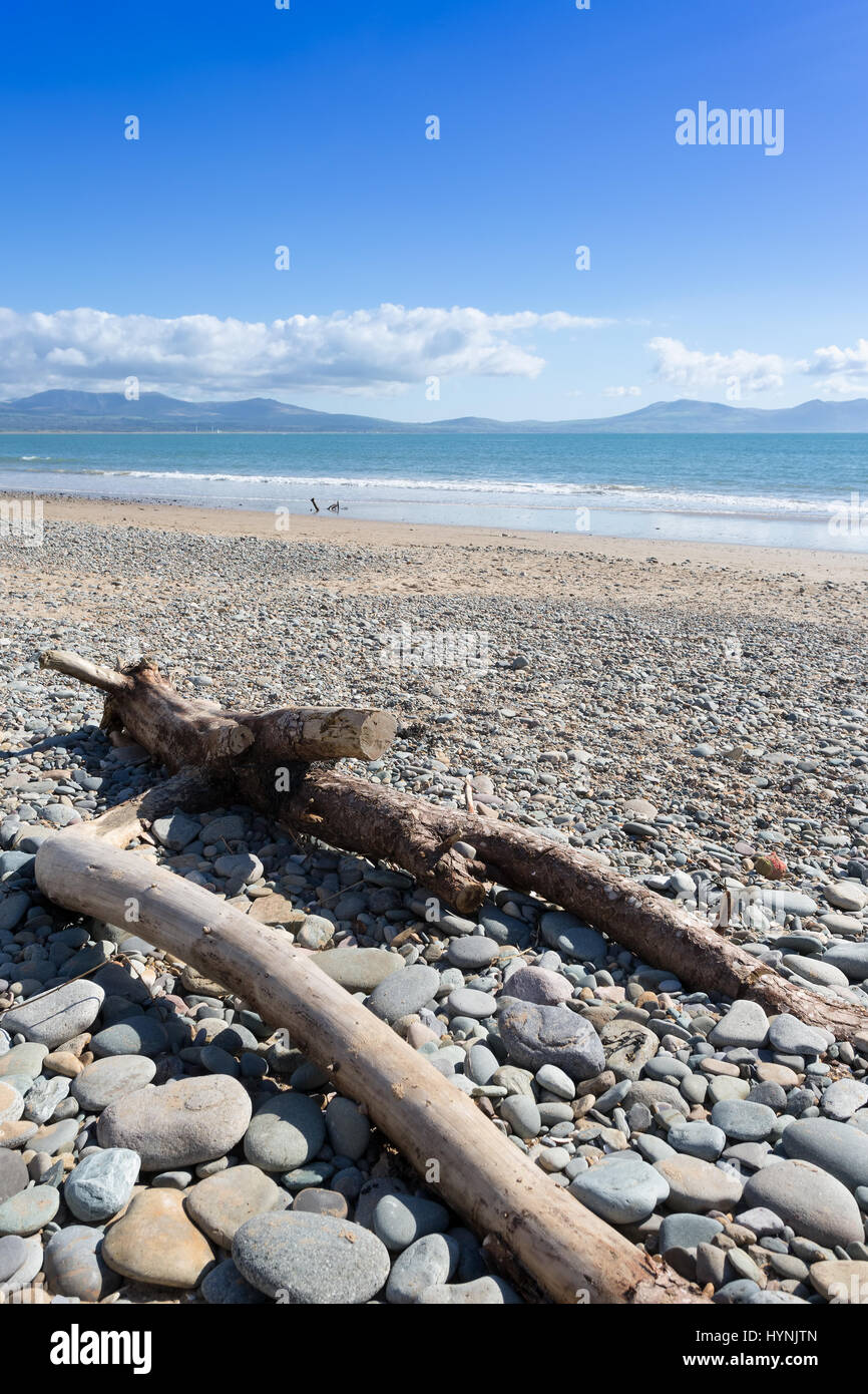 Driftwood sur Stony Beach à Newborough, Anglesey, au nord du Pays de Galles Banque D'Images