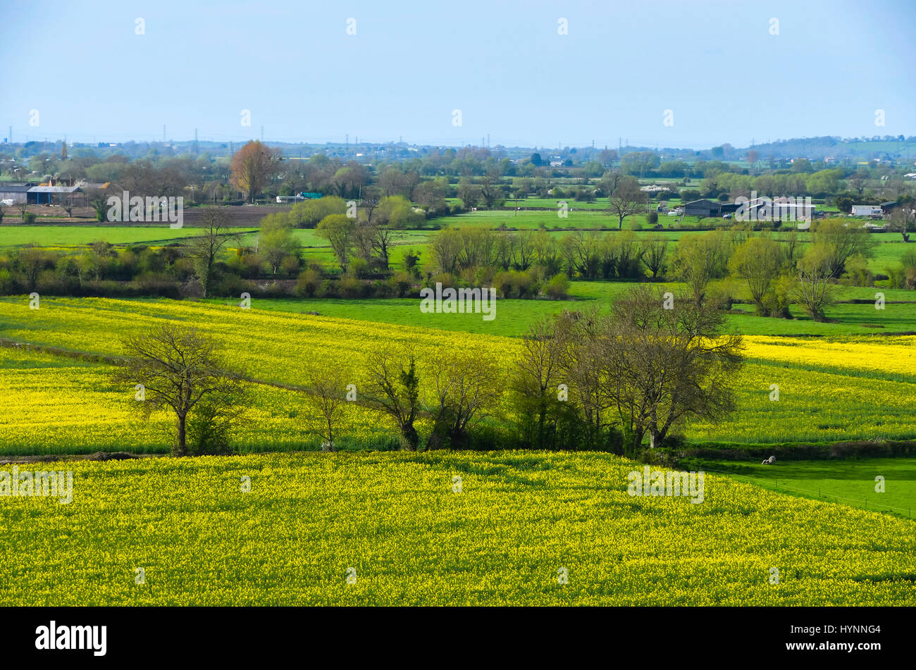 Burrowbridge, Somerset, Royaume-Uni. 5 avril 2017. Météo britannique. La vue depuis le haut de Burrow Mump sur une chaude après-midi ensoleillée à Burrowbridge dans le Somerset. Crédit photo : Graham Hunt/Alamy Live News Banque D'Images
