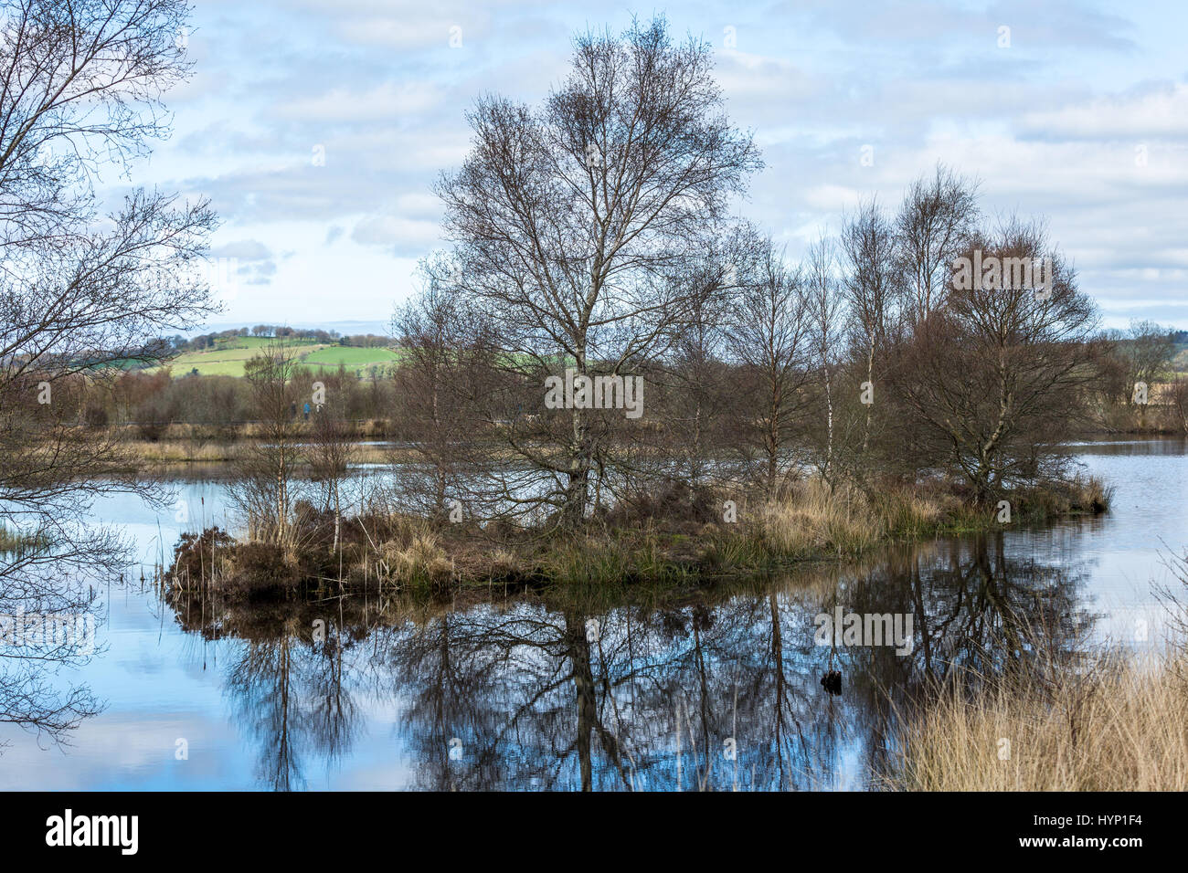 Cors Caron Réserve naturelle nationale près de Tregaron au milieu du Pays de Galles. Le site comprend trois tourbières soulevées composées de couches profondes de la tourbe qui ont eu autour de 12 000 ans à la forme. Crédit : Ian Jones/Alamy Live News Banque D'Images