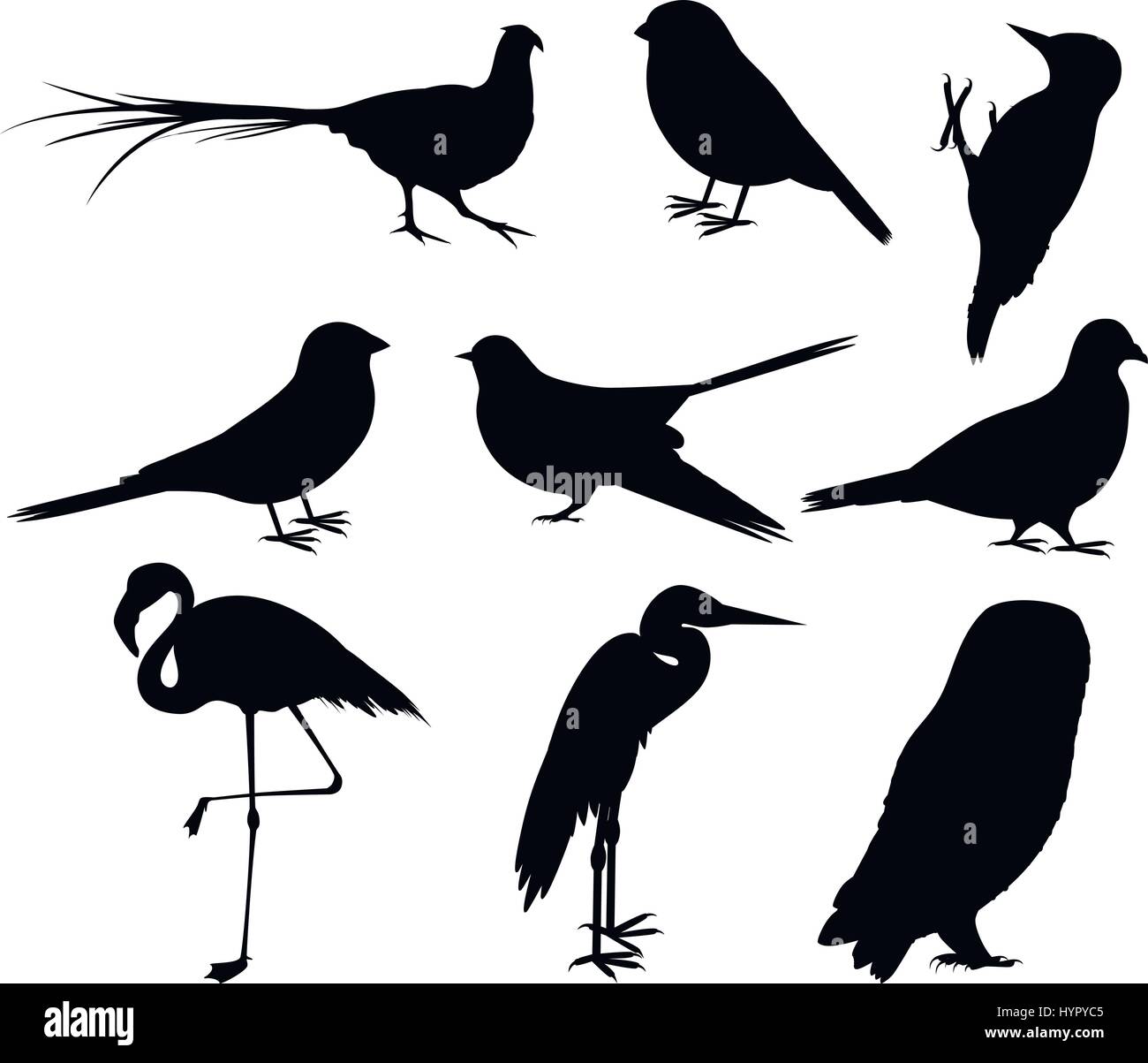 Collection de silhouettes d'oiseaux Illustration de Vecteur