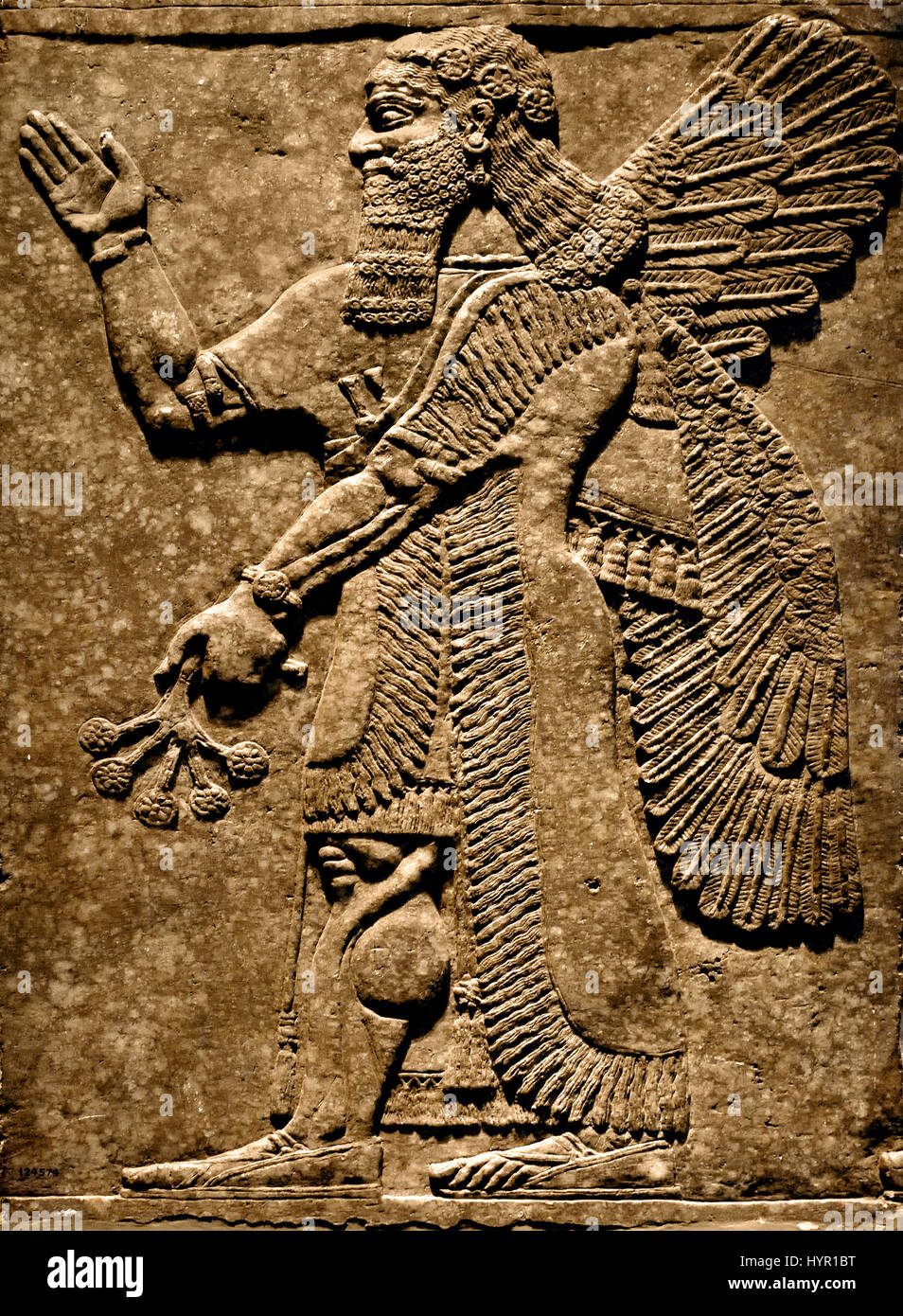 Palais Royal d'Assurnazirpal II Nimrud 883-859 av. J.-C. en Mésopotamie Iraq Kalhu Assyrie esprit protecteur du Temple de Ninurta ( et l'akkadien dieu sumérien de la loi, scribes, l'agriculture et de la chasse. Il était adoré en Babylonie et l'Assyrie et de Lagash.) Banque D'Images