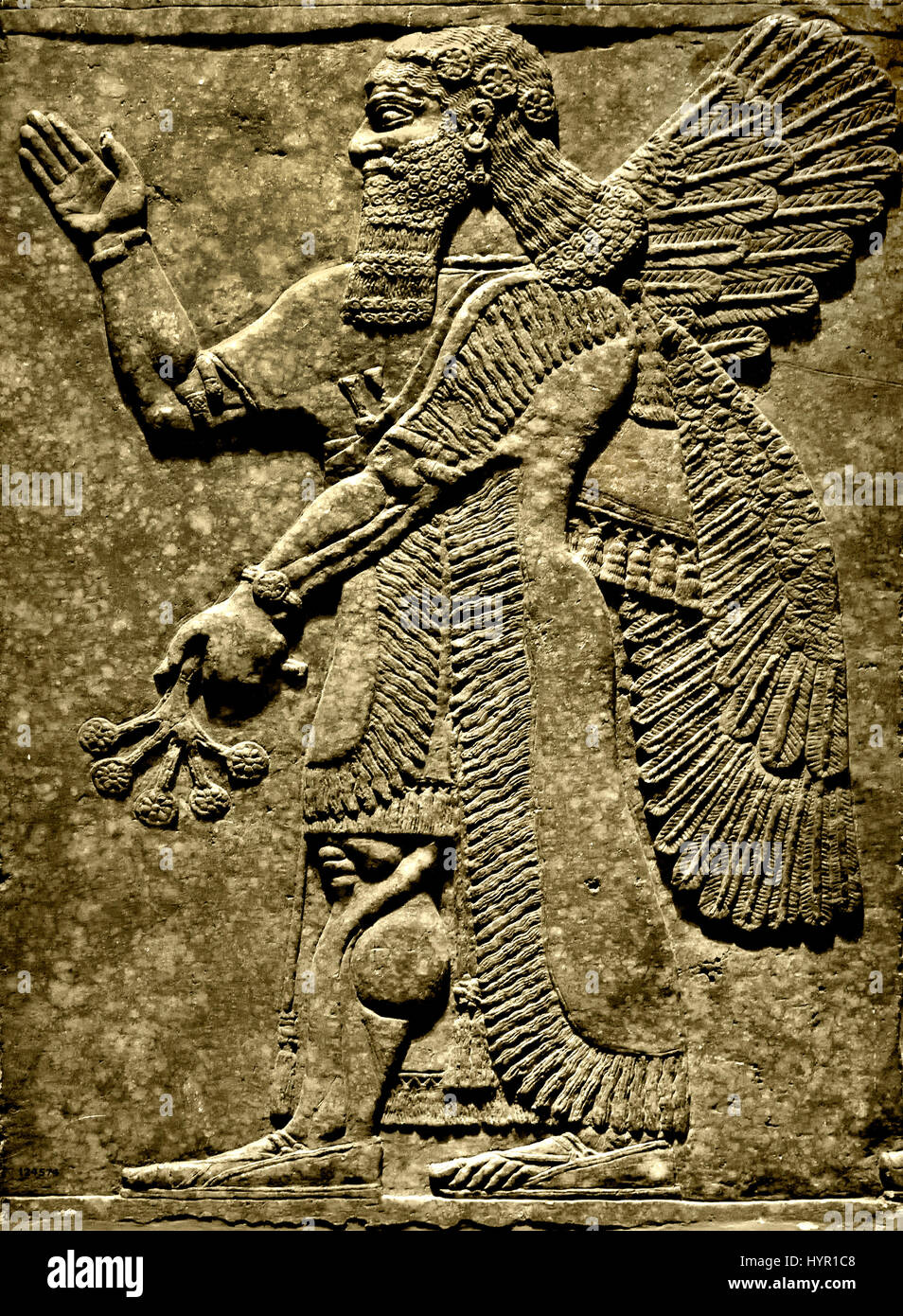 Palais Royal d'Assurnazirpal II Nimrud 883-859 av. J.-C. en Mésopotamie Iraq Kalhu Assyrie esprit protecteur du Temple de Ninurta ( et l'akkadien dieu sumérien de la loi, scribes, l'agriculture et de la chasse. Il était adoré en Babylonie et l'Assyrie et de Lagash.) Banque D'Images