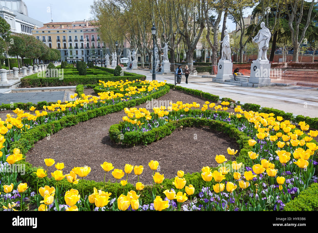Tulipes jaunes la Plaza de Oriente et les statuts des monarques du Espagne, Madrid, Espagne Banque D'Images