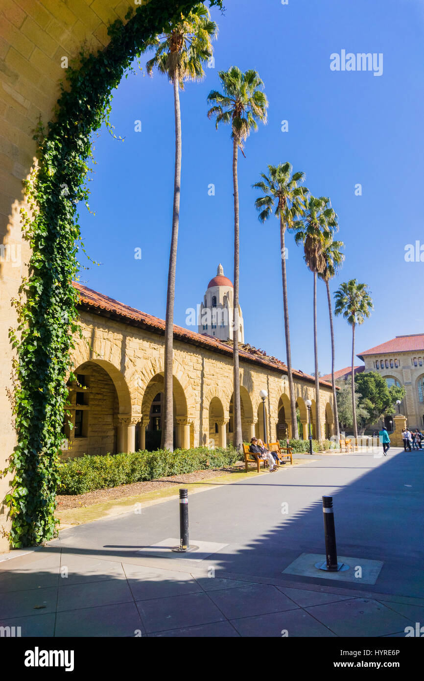 Vieux couple assis sur un banc dans les principaux quad, Université de Stanford, un jour ensoleillé Banque D'Images