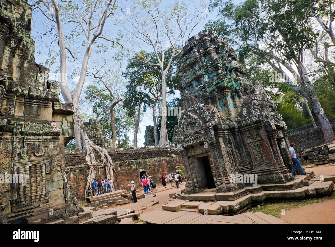 Vue horizontale de touristes au temple de Ta Prohm au Cambodge. Banque D'Images