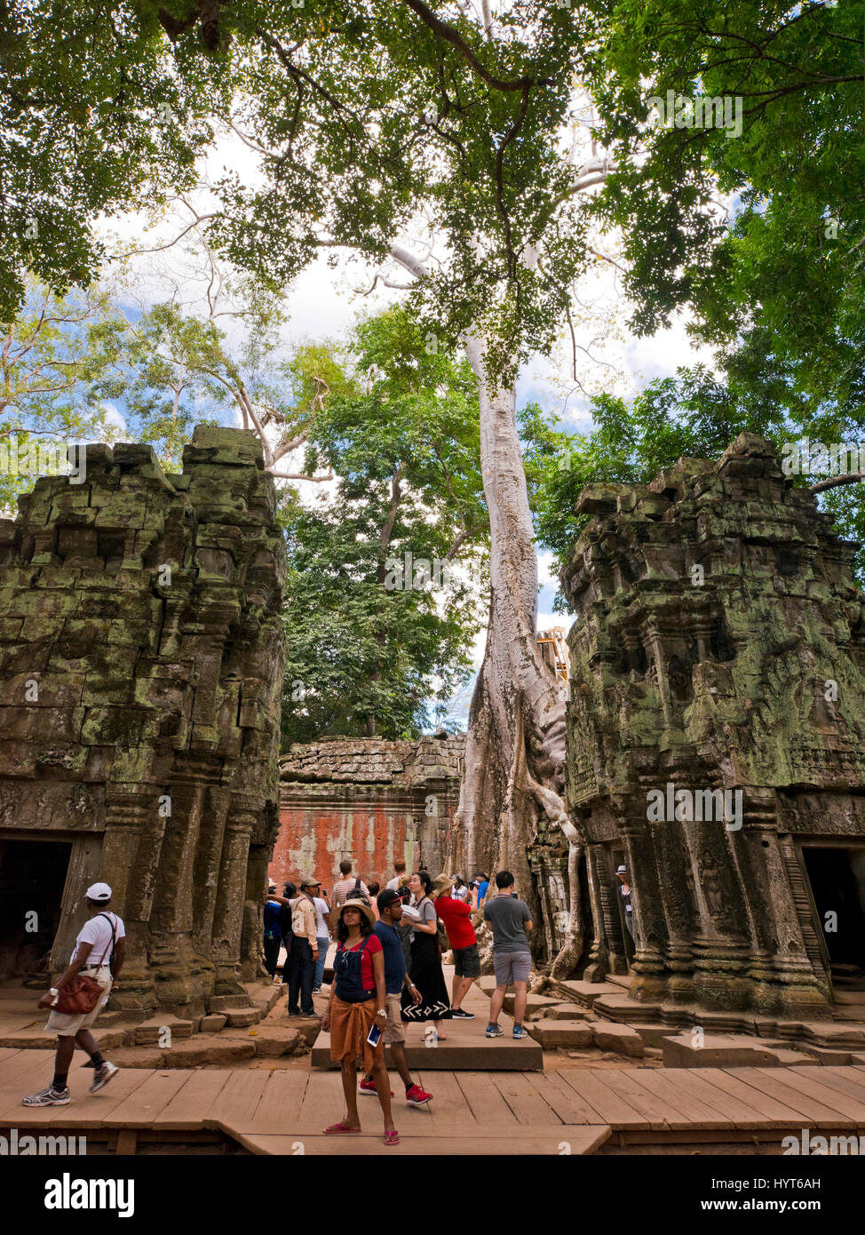 Vue verticale de l'un des enclos intérieurs au temple de Ta Prohm au Cambodge. Banque D'Images