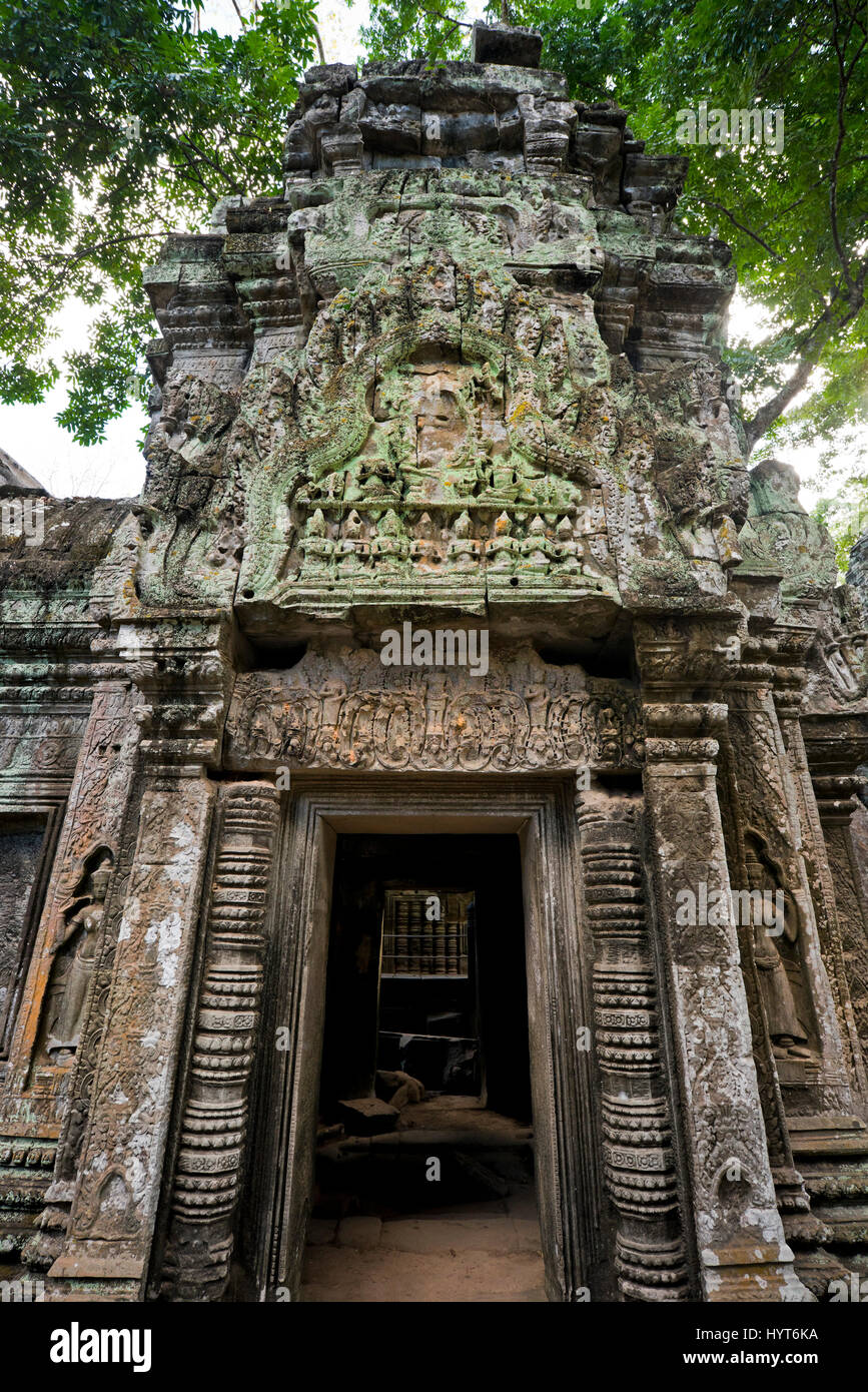 Vue verticale d'un lieu de culte au temple de Ta Prohm au Cambodge. Banque D'Images