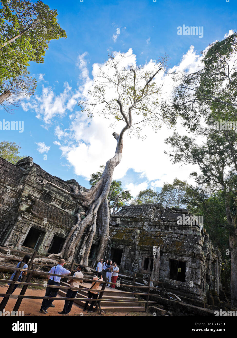 Vue verticale de touristes à l'un des endroits emblématiques à Ta Prohm temple au Cambodge Banque D'Images