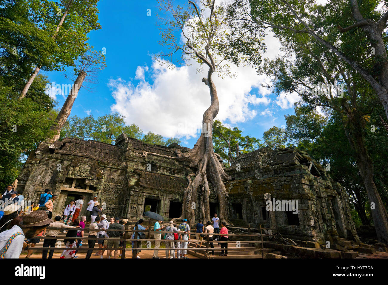 Vue horizontale de touristes au temple de Ta Prohm au Cambodge. Banque D'Images