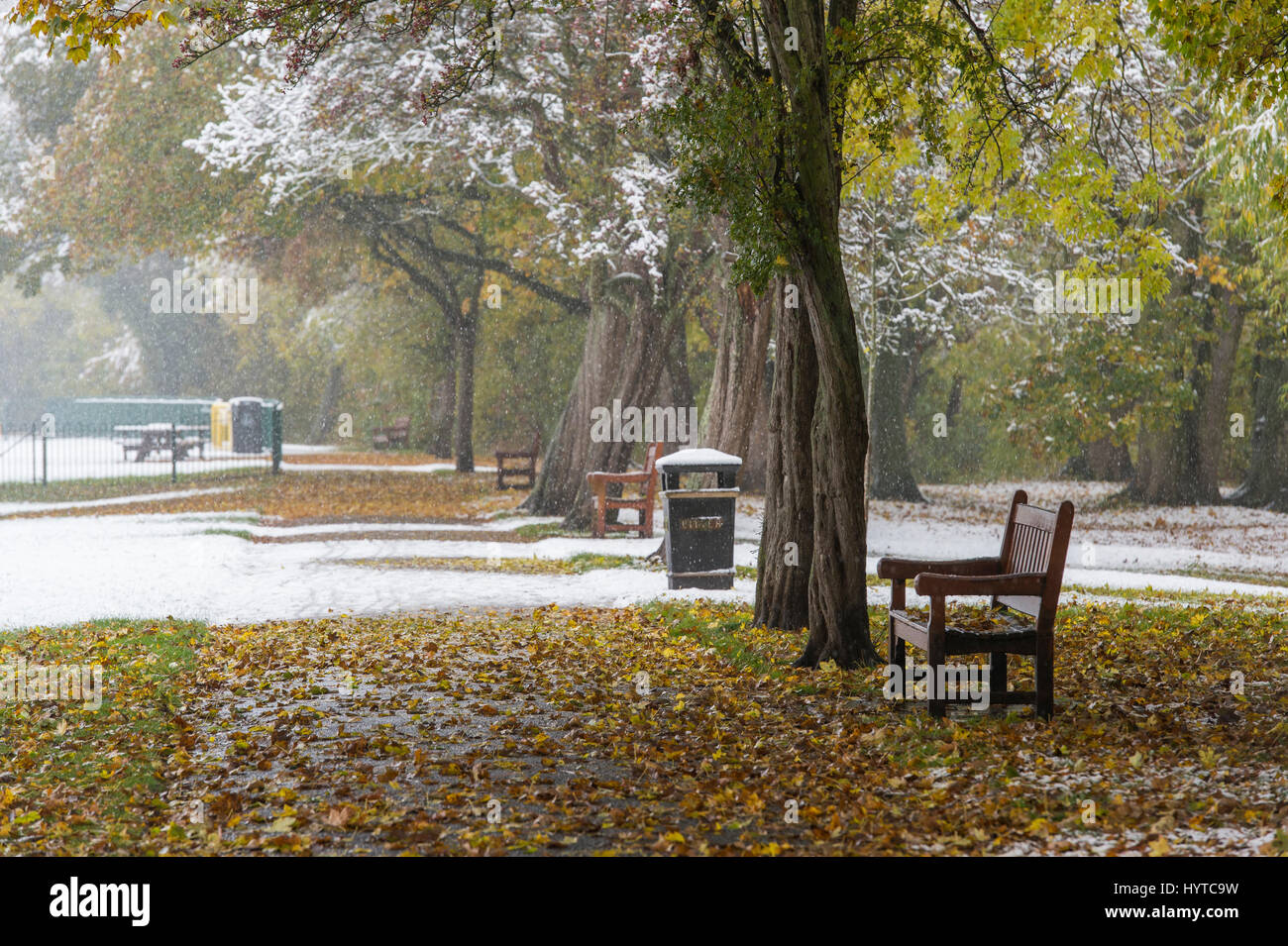 Sur neige froide journée, de l'automne. Vue sur parc bordé d'arbres, chemin recouvert de neige & leaves - Riverside Gardens, Ilkley, West Yorkshire, England, GB, au Royaume-Uni. Banque D'Images