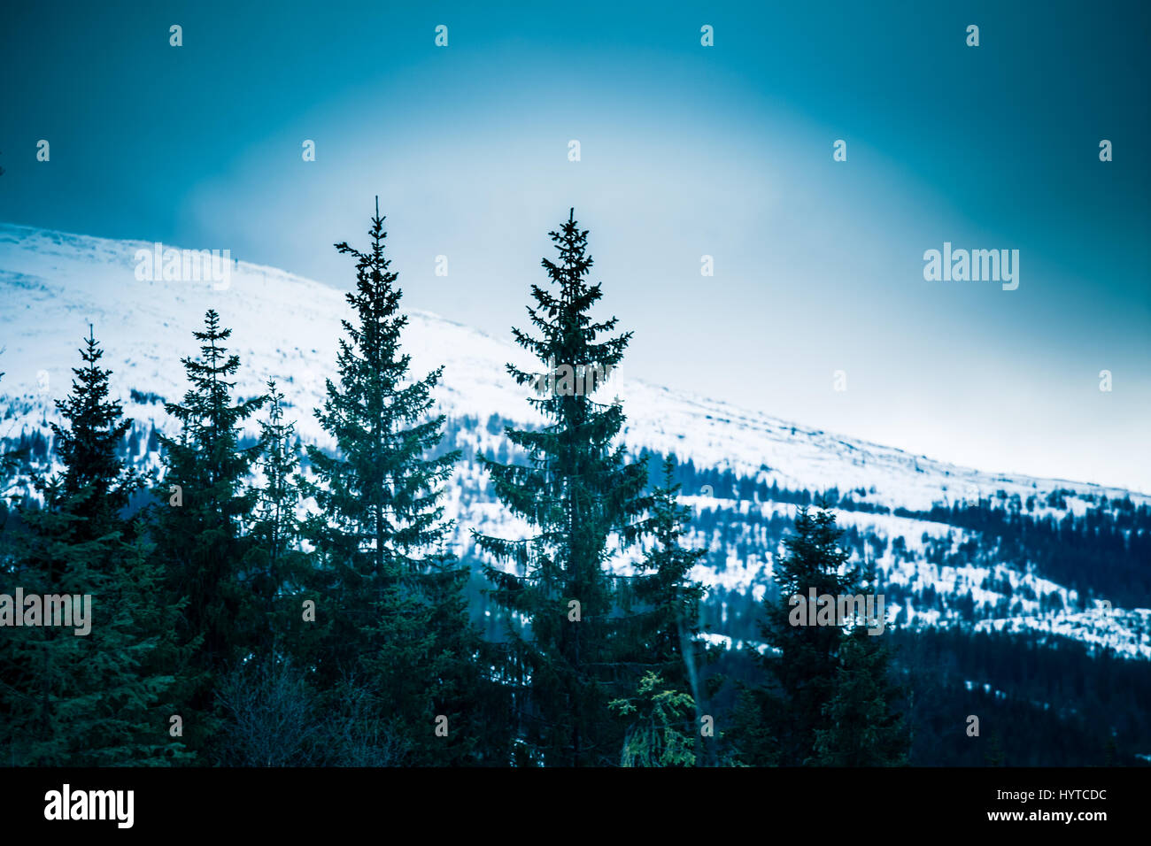 Un beau paysage d'hiver coloré, spectaculaire avec des montagnes en Norvège Banque D'Images