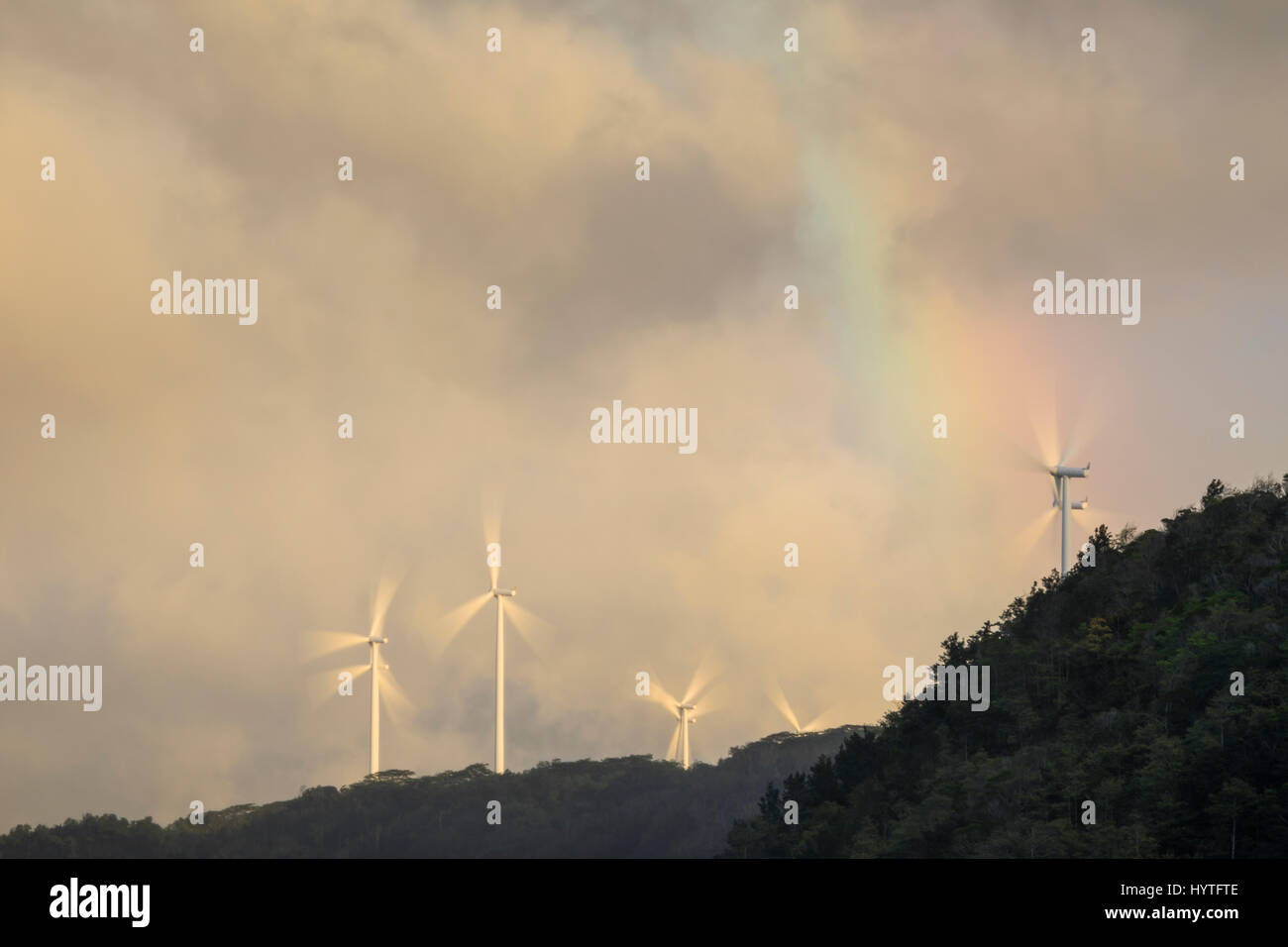 Une vue sur les éoliennes de Waimea Bay sur la côte nord d'Oahu. Banque D'Images