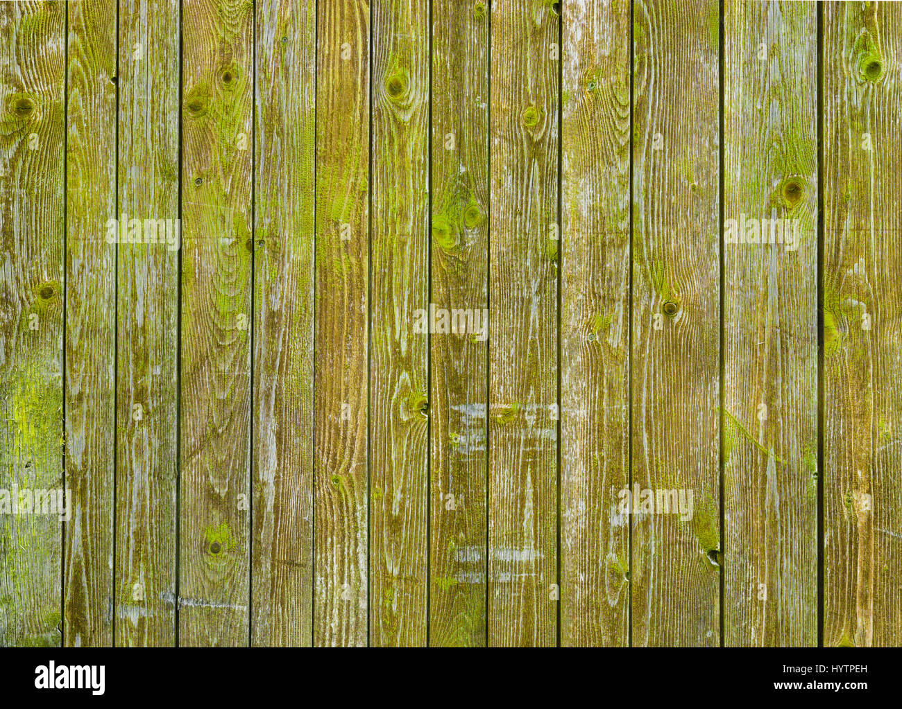 Bois grange naturelles mur recouvert de mousse verte ou de lichen. Banque D'Images