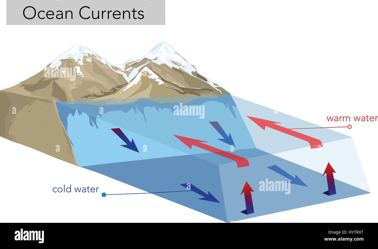 Les courants verticale de l'océan chaud et froid. Illustration de Vecteur