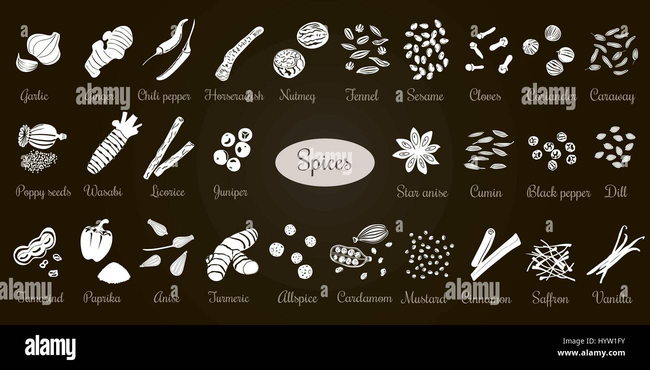 Big vector set d'épices culinaires populaires Silhouettes Blanc sur noir. Le gingembre, piment, ail, muscade, anis, etc. pour les cosmétiques, spa, soins de santé Illustration de Vecteur