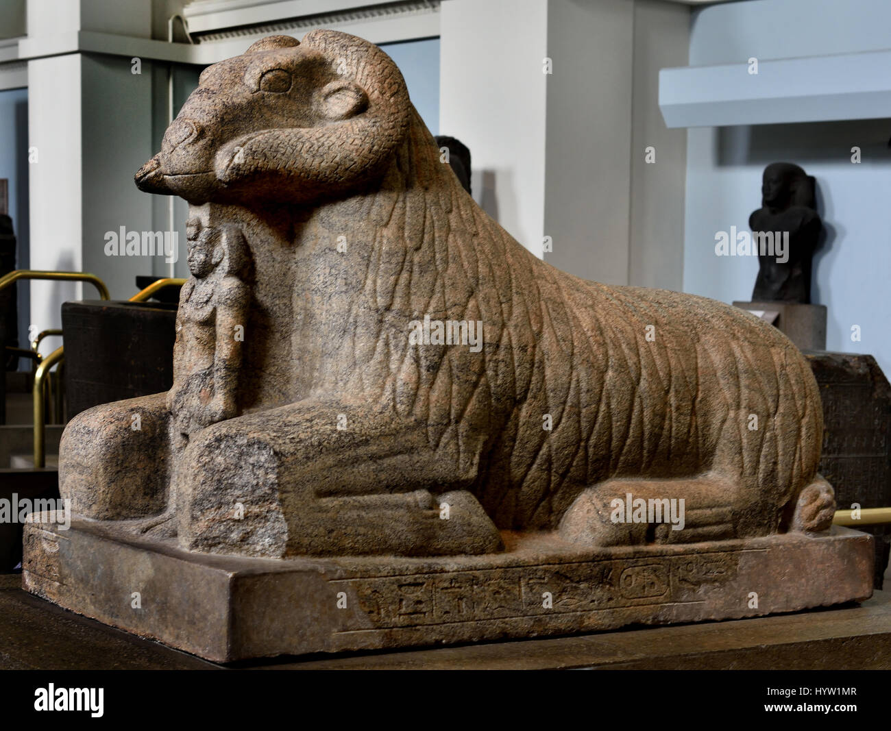 • Gneiss granitique sphinx du bélier d'Amon protégeant la figure de Taharqo pliée entre les pattes de devant beaucoup de hiéroglyphes. • Napatéenne 690BC-664BC Koushite de Kawa, Temple T (Afrique,Soudan,Nord,Nord du Nil Dongola atteindre,Kawa) Banque D'Images • Gneiss granitique sphinx du bélier d'Amon protégeant la figure de Taharqo pliée entre les pattes de devant beaucoup de hiéroglyphes. • Napatéenne 690BC-664BC Koushite de Kawa, Temple T (Afrique,Soudan,Nord,Nord du Nil Dongola atteindre,Kawa) Banque D'Images