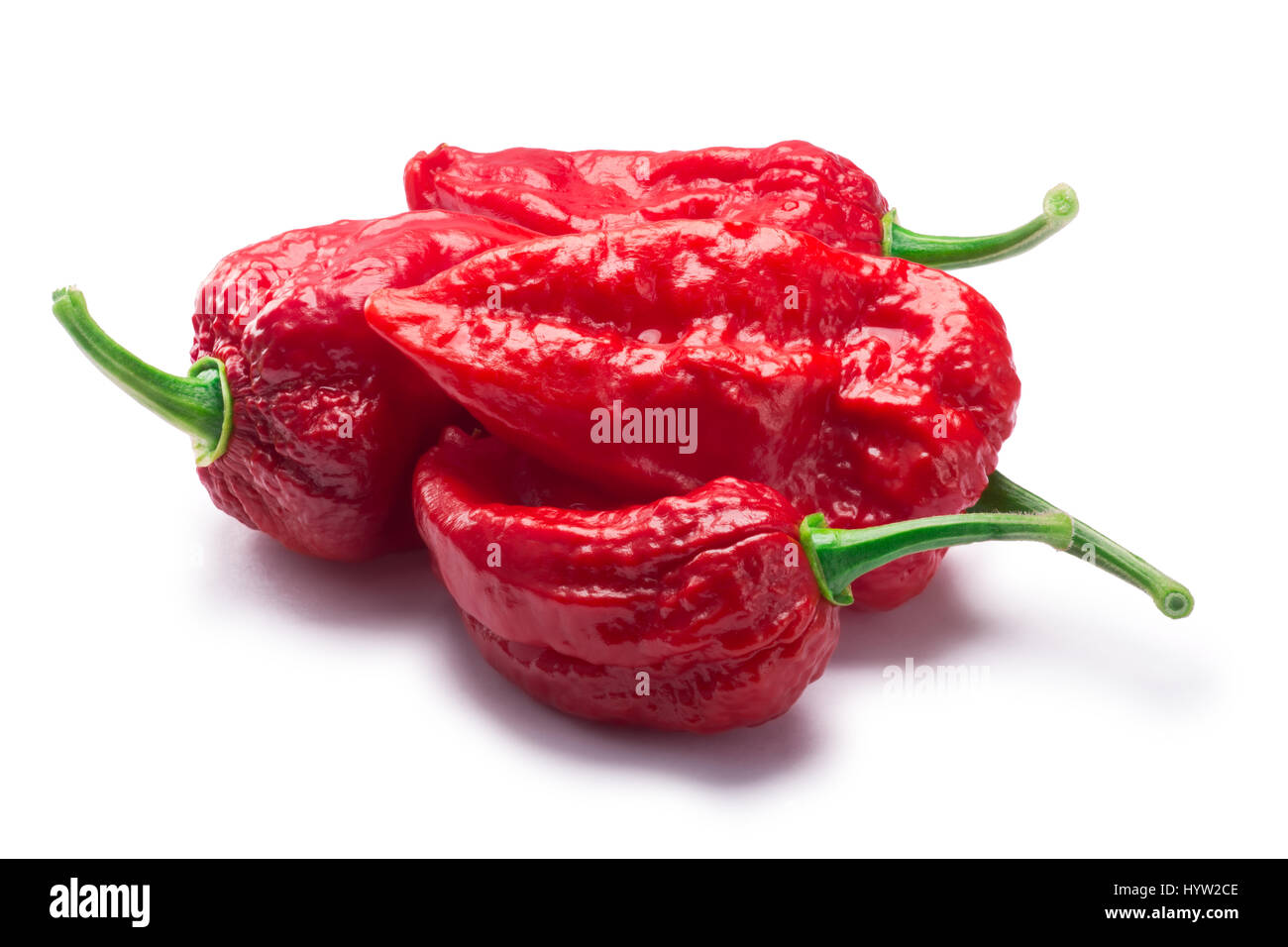 Pile de Bhut Jolokia chili peppers ghost (Capsicum frutescens x hybride Capsicum chinense). Chemins de détourage, séparés de l'ombre Banque D'Images