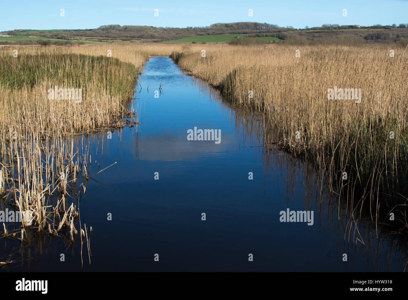 Canal de drainage de la SCRO dans Erdreinniog fen, Anglesey, Pays de Galles Banque D'Images