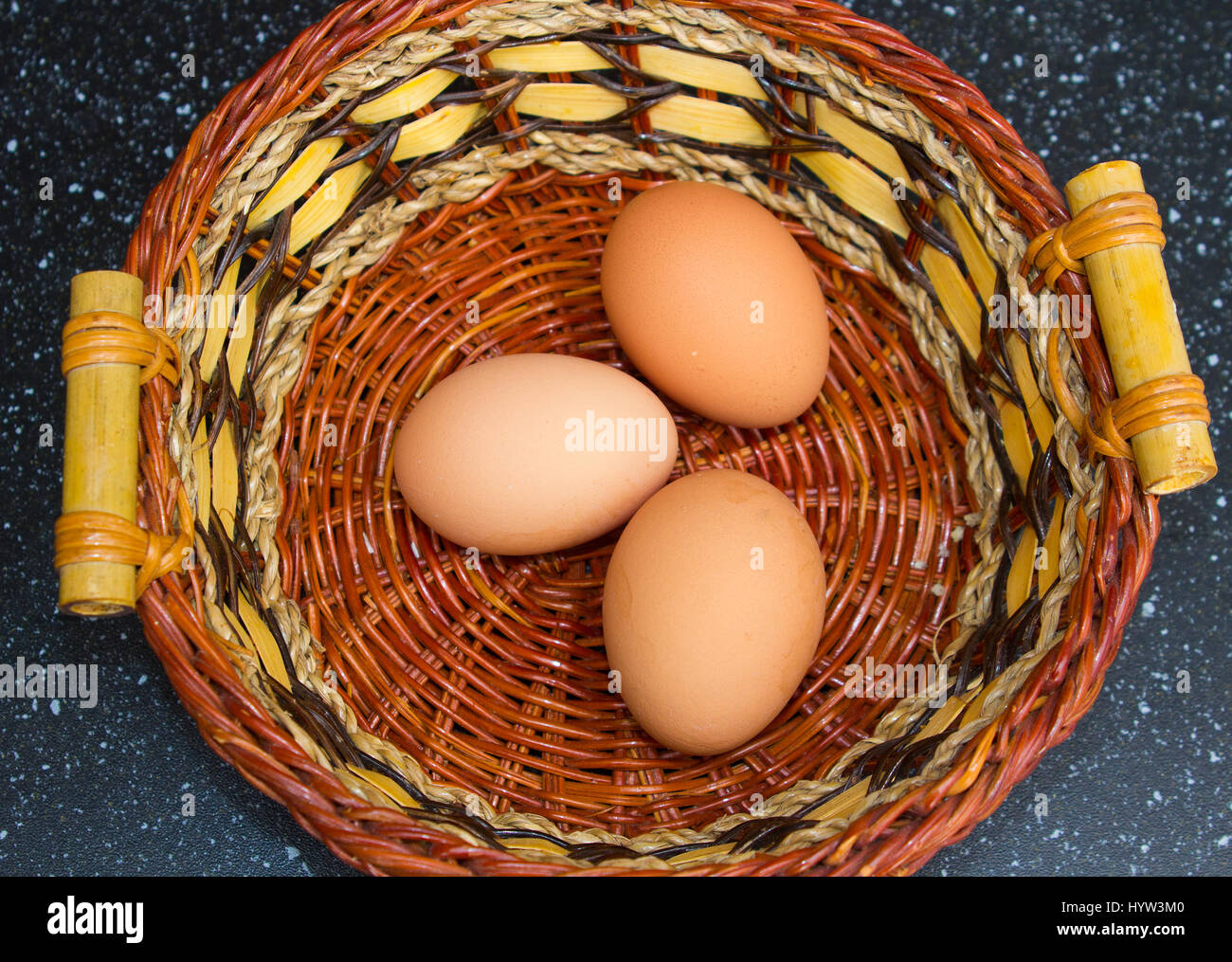 Entièrement organique fraîche des œufs recueillis juste de backyard poulets élevés dans un jardin arrière en Irlande du Nord Banque D'Images