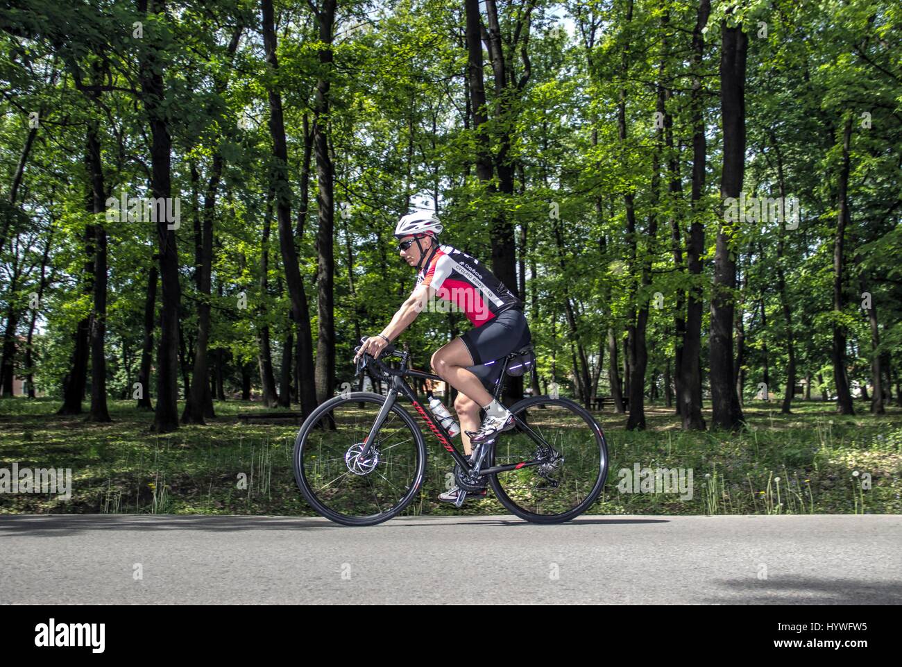 Belgrade, Serbie. 26 avril 2017. Un cycliste Ivan Puja, ultra-marathon serbe détenteur du record, se prépare pour la prochaine course (Serbie 6-12-24 Ultra) à la forêt-parc Kosutnjak piste. Credit : Bratislav Stefanovic/Alamy Live News Banque D'Images Belgrade, Serbie. 26 avril 2017. Un cycliste Ivan Puja, ultra-marathon serbe détenteur du record, se prépare pour la prochaine course (Serbie 6-12-24 Ultra) à la forêt-parc Kosutnjak piste. Credit : Bratislav Stefanovic/Alamy Live News Banque D'Images