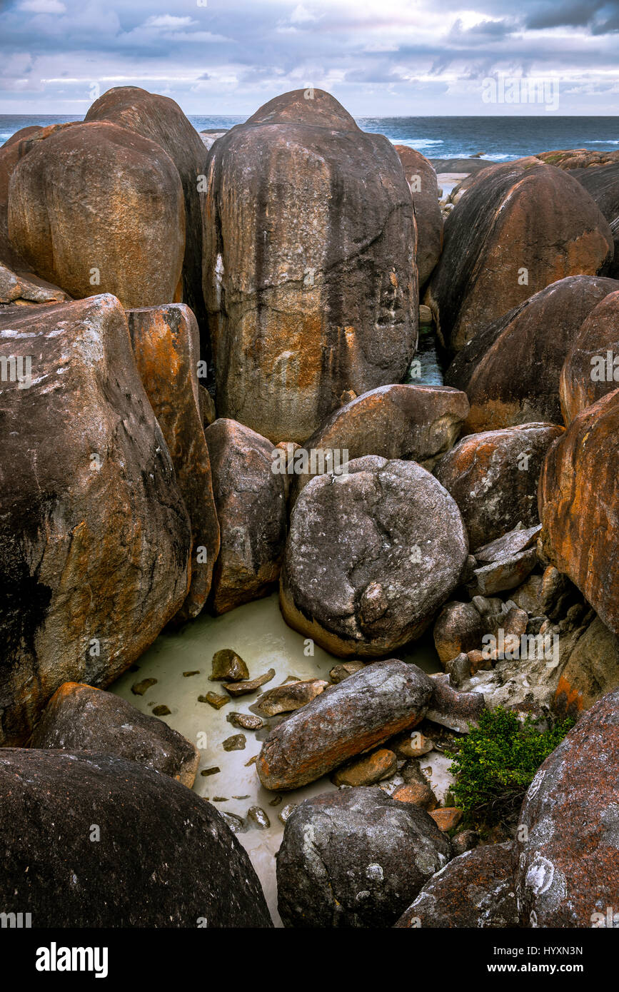 Elephant Rocks à William Bay National Park, Australie occidentale Banque D'Images