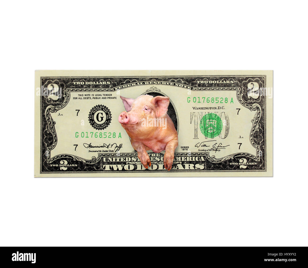 Pig donne de deux dollars au lieu du président américain isolé sur le livre blanc Banque D'Images