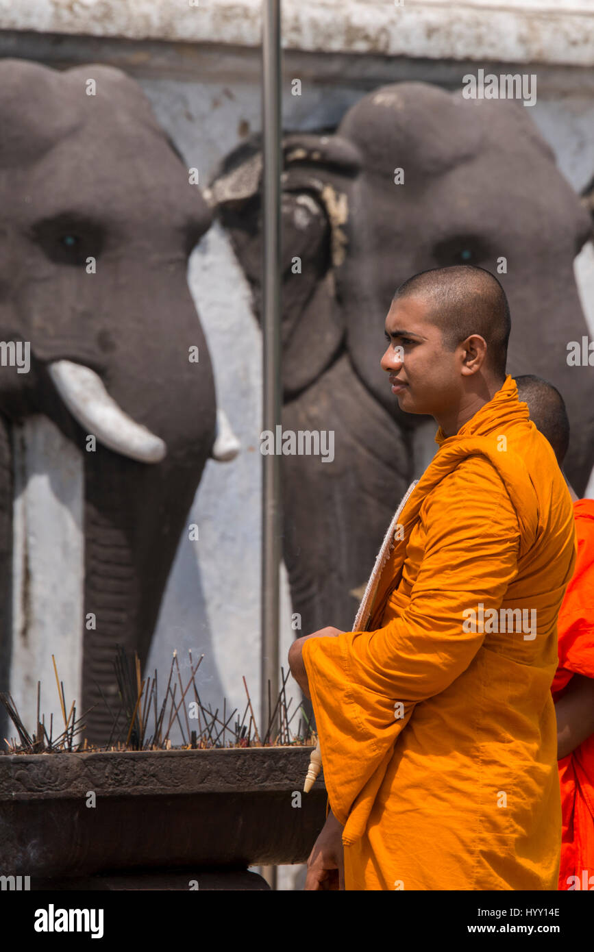 Anuradhapura, Sri Lanka. Ruwanwelisaya stupa, sacré pour les bouddhistes du monde entier. Moines en face de sculptures d'éléphants à la base du stupa. Banque D'Images