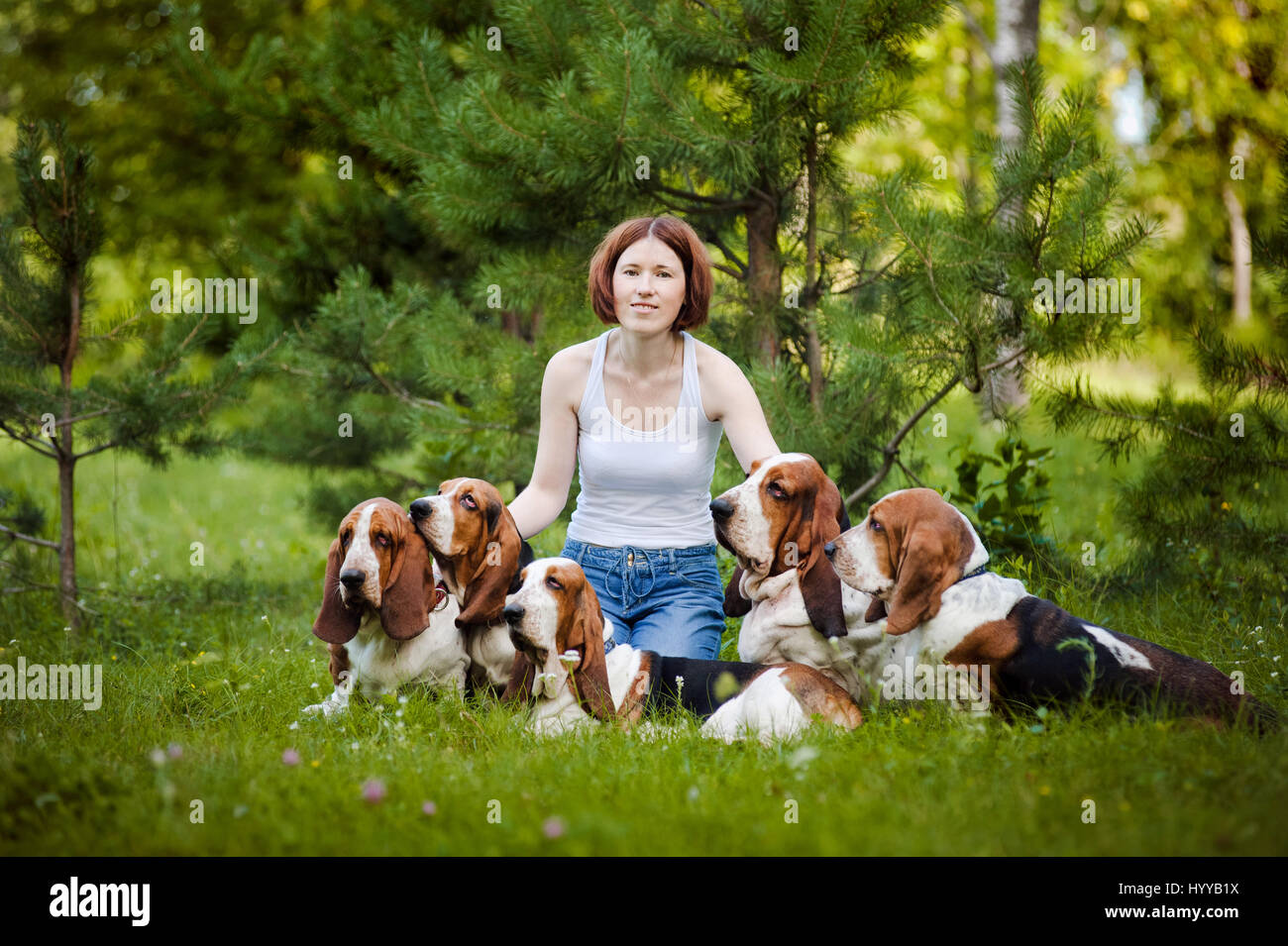 BASSETT hounds s'avèrent une fois de plus combien cette race hilarant de chiens peut être qu'ils tirent les expressions les plus drôles tout en courant vers leurs propriétaires. Les photos montrent le fractionnement du Basset Hounds tirant toutes sortes de grimaces que leur peau droopy lutte pour suivre le reste de leur corps. D'autres plans montrent le chien jouant fetch et combats avec l'autre dans leur peau essaie de leur enveloppe. Les images ont été capturées par le photographe russe Ksenia Raykova puisqu'elle a pris les chiens pour certains jeux dans une forêt locale. Banque D'Images
