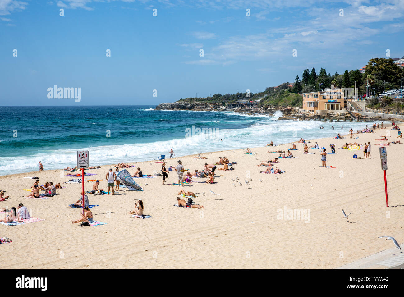 Coogee Beach à Sydney banlieue est, occupé avec les gens sur un jour d'été,Sydney, Australie Banque D'Images