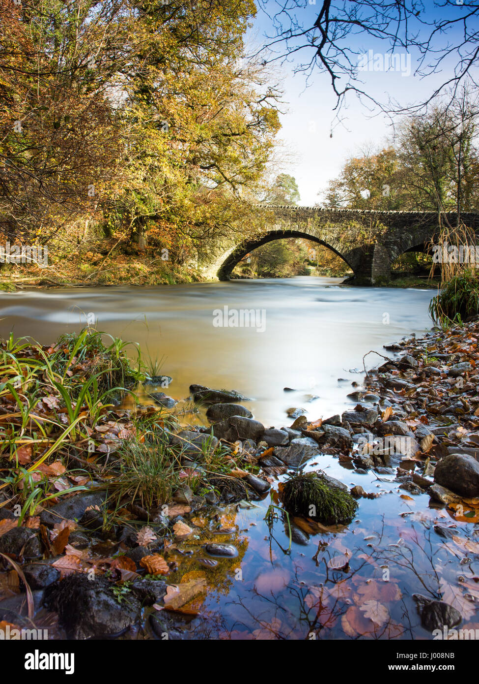 La rivière Brathay ruisseau de montagne passe par woodland rempli de couleurs de l'automne et en vertu de Clappersgate Bridge près de Reading en Angleterre's Lake Dis Banque D'Images