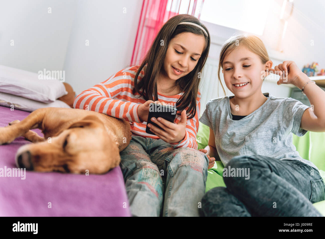 Deux petites filles avec chien jaune assis dans la chambre d'enfant et à l'aide de smart phone Banque D'Images