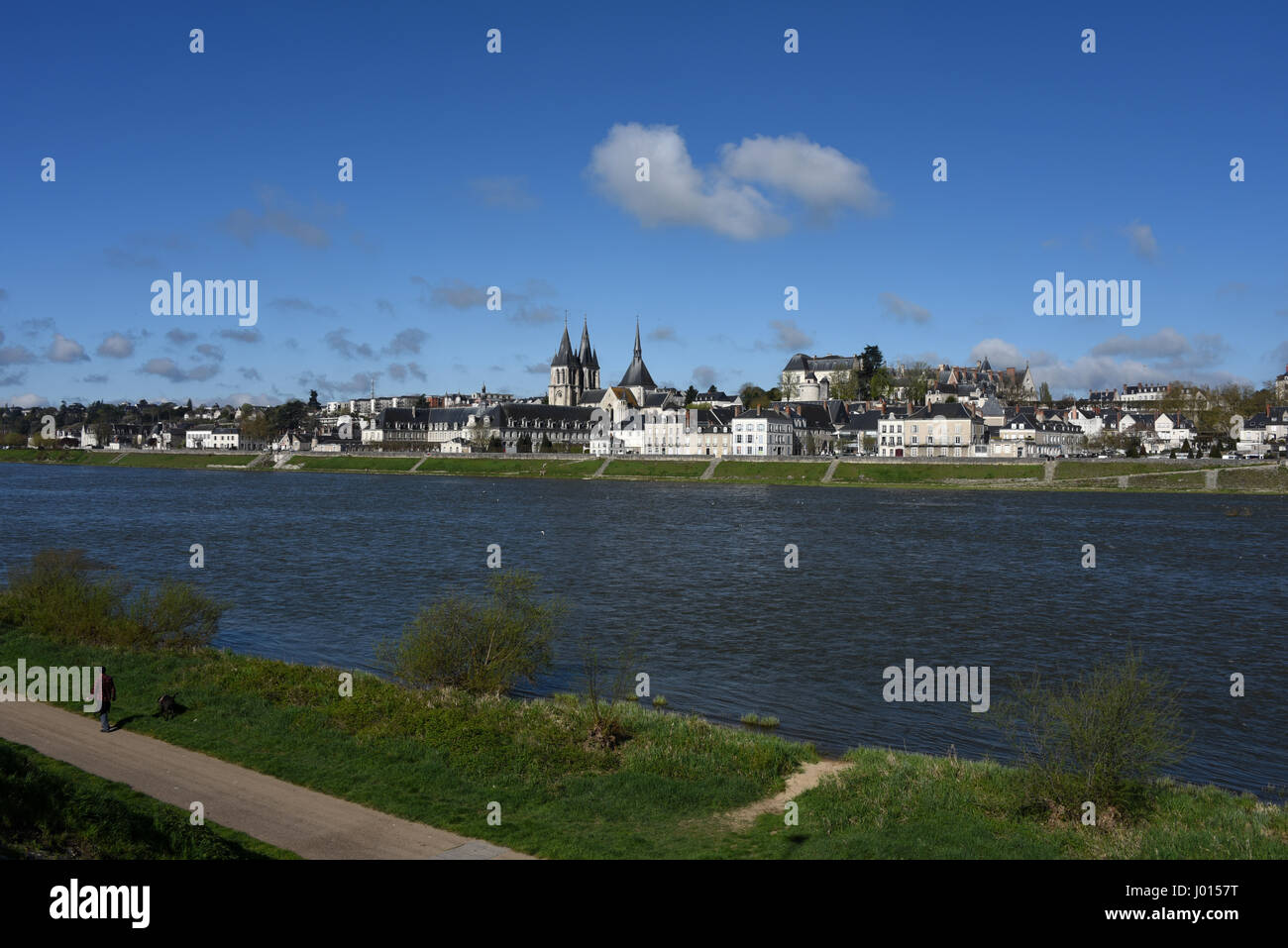 Blois, château, église Saint-Nicolas et l'Abbaye Saint-Laumer de Blois, Loire, Loire, Loir-et-Cher, Center-Val de Loire, France, Europe, U Banque D'Images