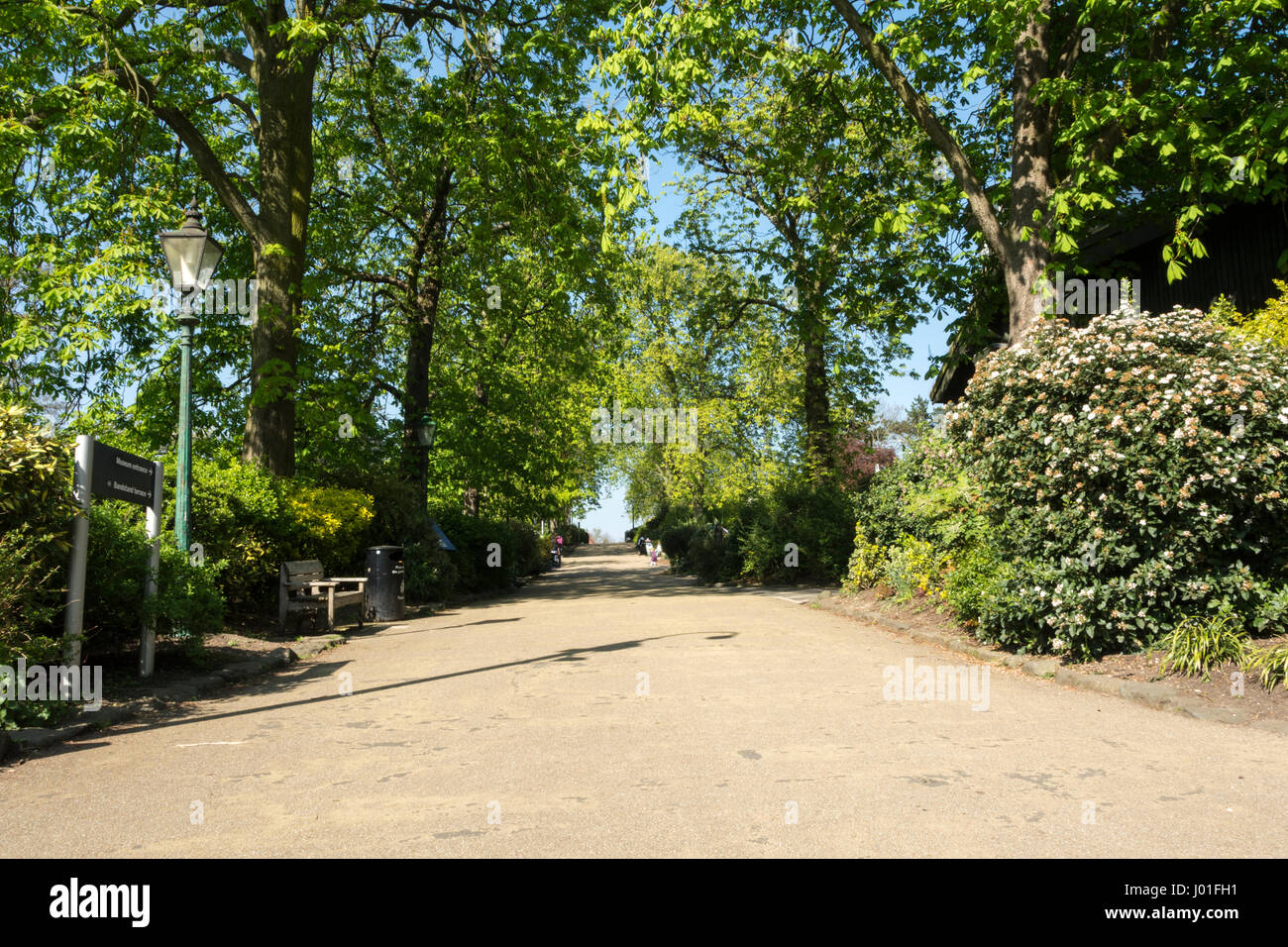 Jardins Horniman à Forest Hill, London, SE23, UK Banque D'Images
