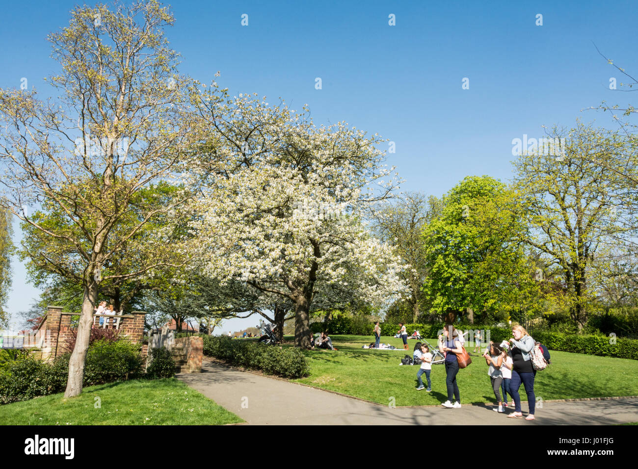 Les gens se détendre dans les jardins Horniman à Forest Hill, London, SE23, UK Banque D'Images