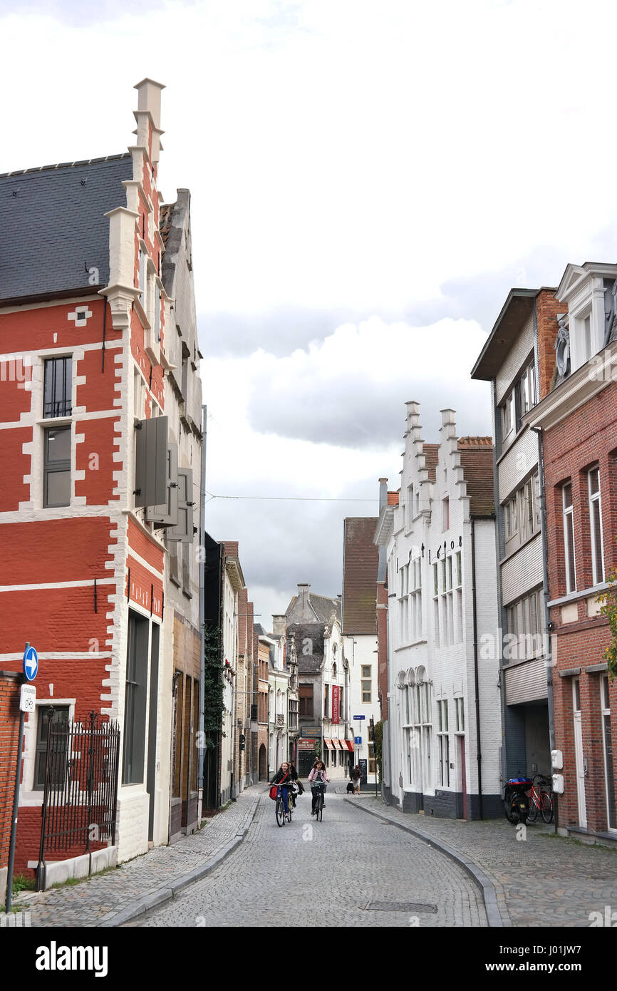 Crow suit sur maisons de la Sint-Katelijnestraat à Mechelen, Belgique Banque D'Images