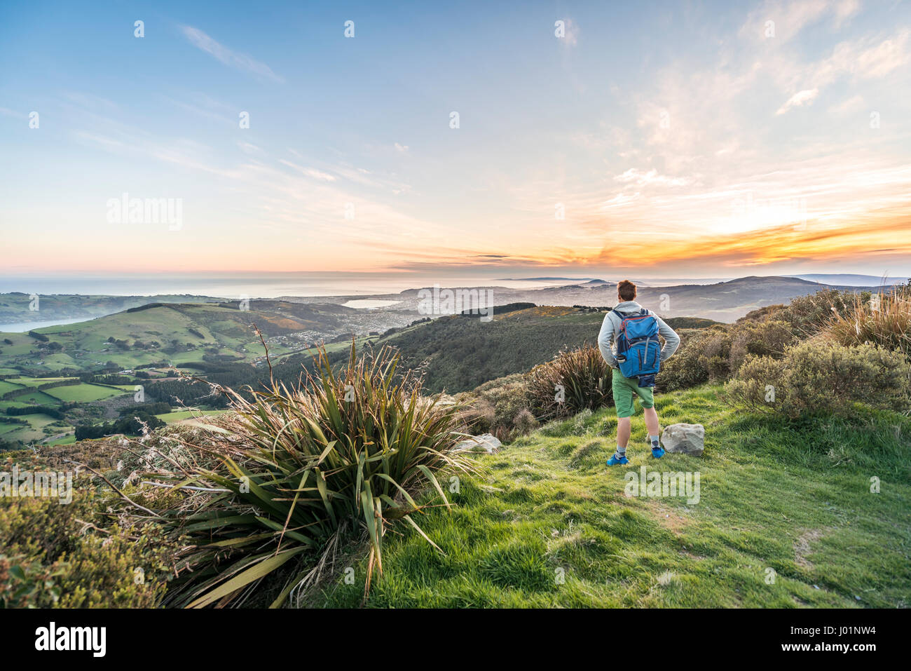 Bénéficiant d'un randonneur vue depuis le mont Cargill avec Dunedin Otago Harbour et péninsule d'Otago, Dunedin, Otago, Coucher du Soleil, Southland Banque D'Images
