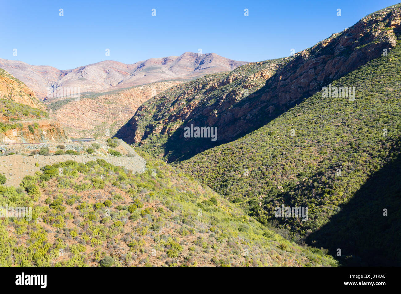 Paysage d'Afrique du Sud le long de la route de Karoo à Franschhoek. Vie sauvage d'Afrique Banque D'Images