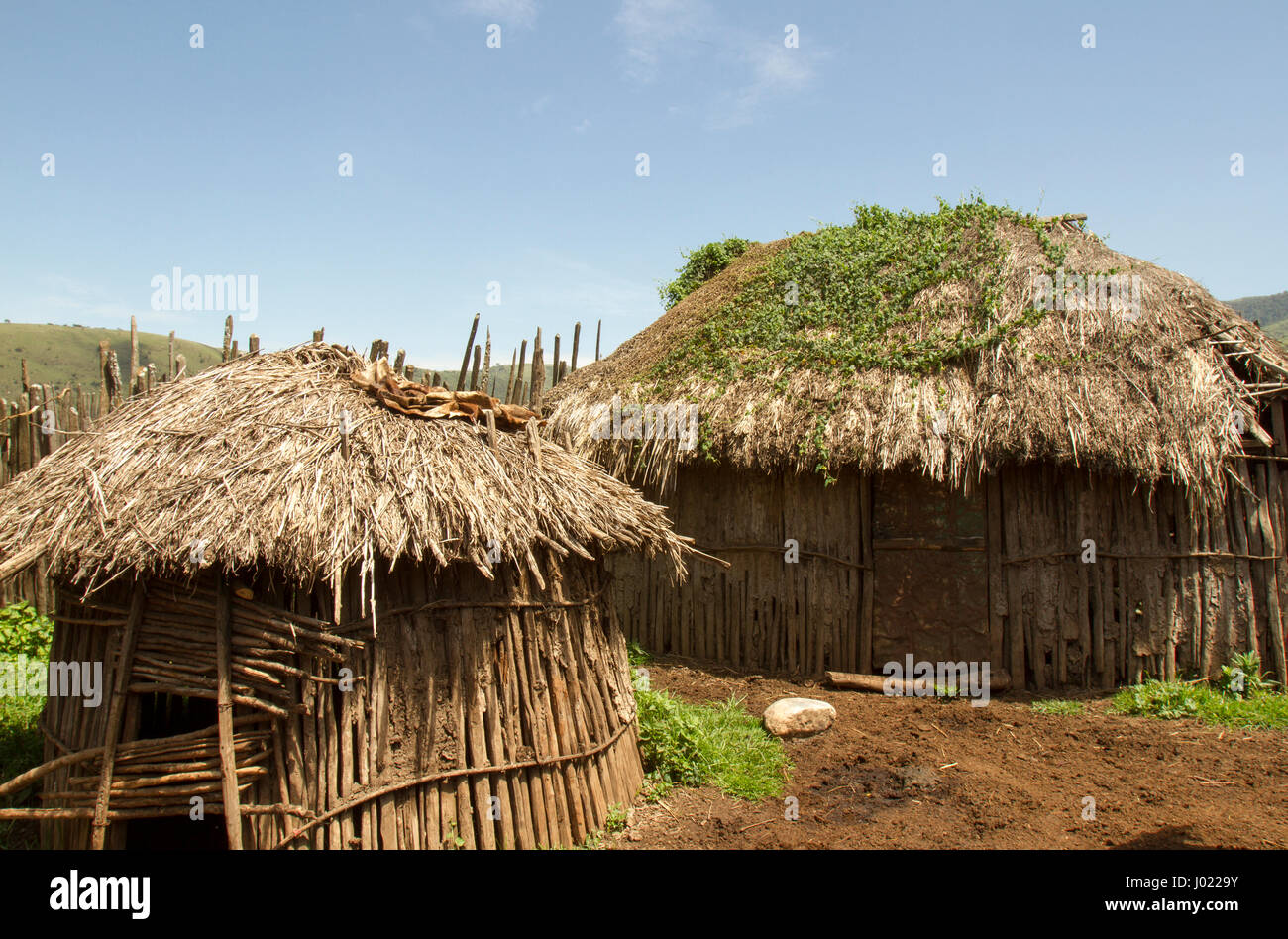 Hutte de chaume traditionnels dans village Maasai du cratère du Ngorongoro Conservation Area, Tanzania. Banque D'Images