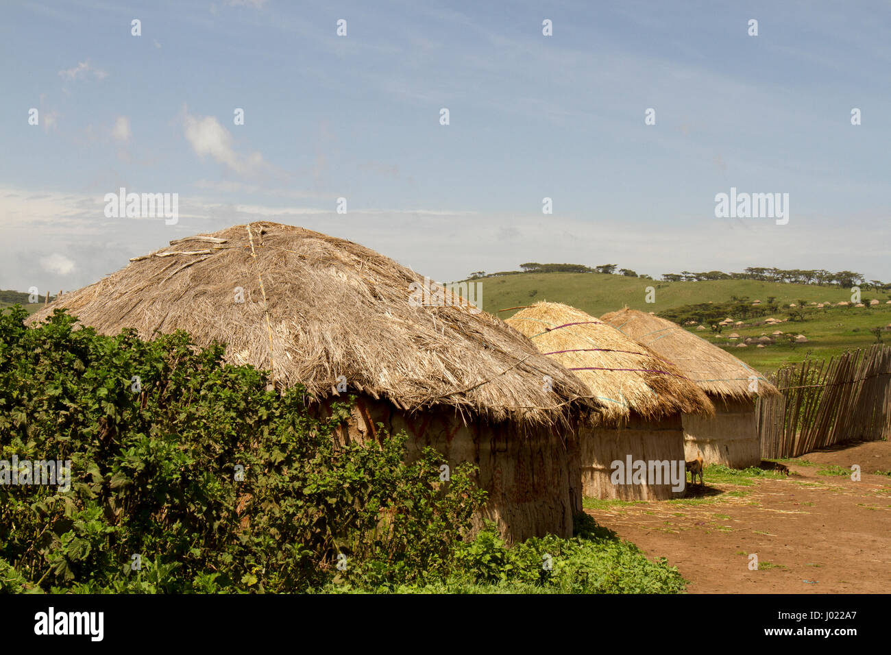 Hutte de chaume traditionnels dans village Maasai du cratère du Ngorongoro Conservation Area, Tanzania. Banque D'Images