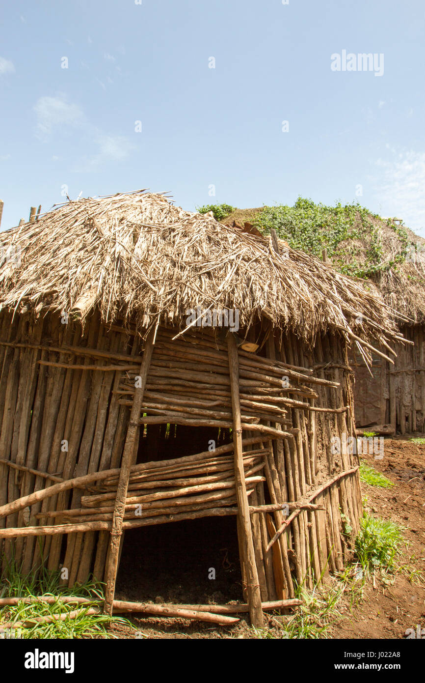 Hutte de chaume traditionnels dans village Maasai du cratère du Ngorongoro Conservation Area, Tanzania. Banque D'Images